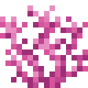 Minecraft Brain Coral item icon (latest, transparent PNG)