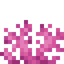 Minecraft Brain Coral Fan item icon (latest, transparent PNG)