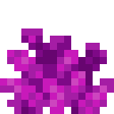 Minecraft Bubble Coral item icon (latest, transparent PNG)