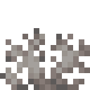 Minecraft Dead Brain Coral Fan item icon (latest, transparent PNG)