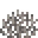 Minecraft Dead Fire Coral Fan item icon (latest, transparent PNG)