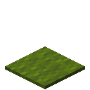 Minecraft Green Carpet item icon (latest, transparent PNG)