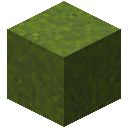 Minecraft Green Concrete Powder item icon (latest, transparent PNG)