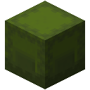 Minecraft Green Shulker Box item icon (latest, transparent PNG)