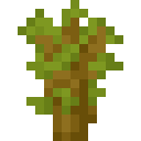 Minecraft Acacia Sapling item icon (latest, transparent PNG)