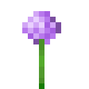 Minecraft Allium item icon (latest, transparent PNG)