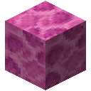 Minecraft Brain Coral Block item icon (latest, transparent PNG)