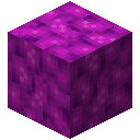 Minecraft Bubble Coral Block item icon (latest, transparent PNG)
