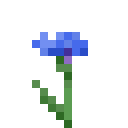 Minecraft Cornflower item icon (latest, transparent PNG)