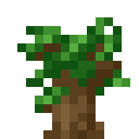 Minecraft Dark Oak Sapling item icon (latest, transparent PNG)