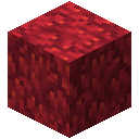 Minecraft Fire Coral Block item icon (latest, transparent PNG)