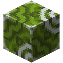 Minecraft Green Glazed Terracotta item icon (latest, transparent PNG)
