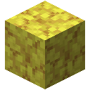 Minecraft Horn Coral Block item icon (latest, transparent PNG)