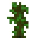 Minecraft Jungle Sapling item icon (latest, transparent PNG)