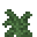 Minecraft Large Fern item icon (latest, transparent PNG)