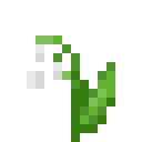 Minecraft Lily Of The Valley item icon (latest, transparent PNG)