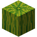 Minecraft Melon item icon (latest, transparent PNG)