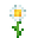 Minecraft Oxeye Daisy item icon (latest, transparent PNG)