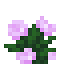 Minecraft Peony item icon (latest, transparent PNG)