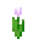 Minecraft Pink Tulip item icon (latest, transparent PNG)