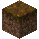 Minecraft Podzol item icon (latest, transparent PNG)