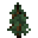 Minecraft Spruce Sapling item icon (latest, transparent PNG)