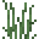 Minecraft Tall Grass item icon (latest, transparent PNG)
