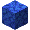 Minecraft Tube Coral Block item icon (latest, transparent PNG)