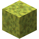 Minecraft Wet Sponge item icon (latest, transparent PNG)