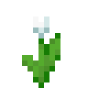 Minecraft White Tulip item icon (latest, transparent PNG)