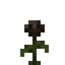 Minecraft Wither Rose item icon (latest, transparent PNG)