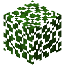 Minecraft Acacia Leaves item icon (latest, transparent PNG)