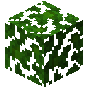 Minecraft Jungle Leaves item icon (latest, transparent PNG)