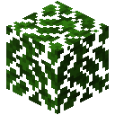 Minecraft Oak Leaves item icon (latest, transparent PNG)