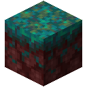 Minecraft Warped Nylium item icon (latest, transparent PNG)