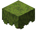 Minecraft Azalea item icon (latest, transparent PNG)