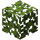 Minecraft Azalea Leaves item icon (latest, transparent PNG)