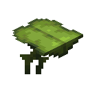Minecraft Big Dripleaf item icon (latest, transparent PNG)