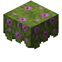 Minecraft Flowering Azalea item icon (latest, transparent PNG)