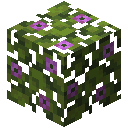 Minecraft Flowering Azalea Leaves item icon (latest, transparent PNG)