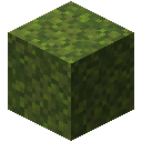 Minecraft Moss Block item icon (latest, transparent PNG)
