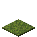 Minecraft Moss Carpet item icon (latest, transparent PNG)