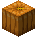 Minecraft Pumpkin item icon (latest, transparent PNG)