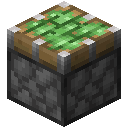 Minecraft Sticky Piston item icon (latest, transparent PNG)