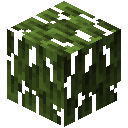 Minecraft Mangrove Leaves item icon (latest, transparent PNG)