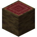 Minecraft Mangrove Log item icon (latest, transparent PNG)