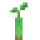 Minecraft Mangrove Propagule item icon (latest, transparent PNG)