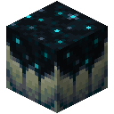 Minecraft Sculk Catalyst item icon (latest, transparent PNG)