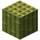 Minecraft Bamboo Block item icon (latest, transparent PNG)
