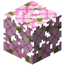 Minecraft Cherry Leaves item icon (latest, transparent PNG)